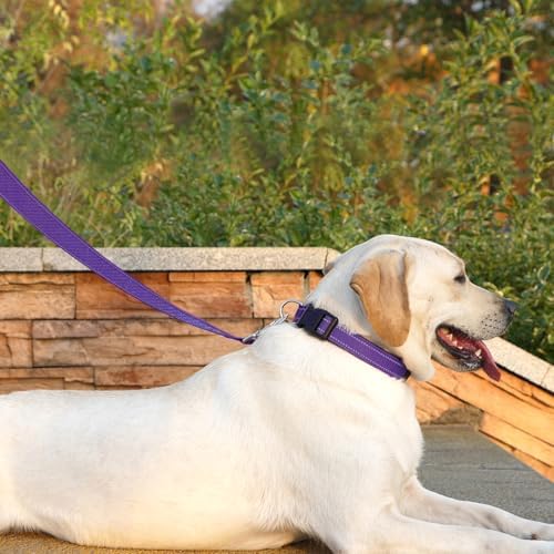 6 FT Basic Dog Leash for Large Dogs - Image 3