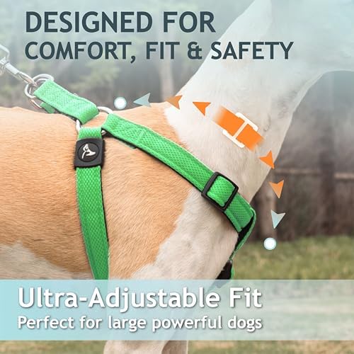 KRUZ No Pull Dog Harness Heavy-Duty Pet Harness - Image 4