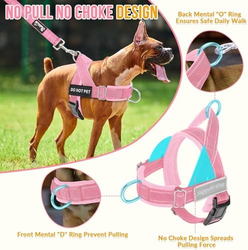 SlowTon No Pull Dog Harness and Leash Set - Image 2
