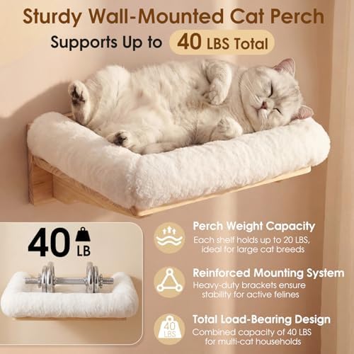 6-in-1 Cat Wall Shelves for Large Cats, Wall Mounted Climber - Image 5