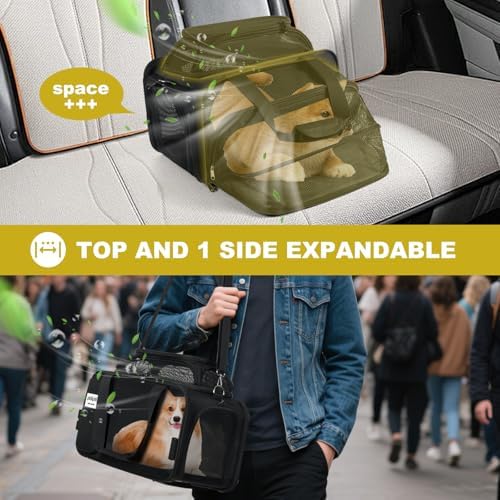 pidipiti 17x11x11 Soft-Sided pet Carrier, - Image 4