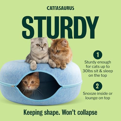Cattasaurus Peekaboo Cat Cave Donut - Image 5