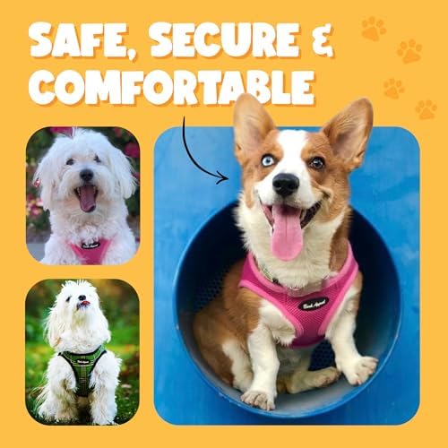 Bark Appeal Pink Stripe Step-in Dog Harness - Image 5