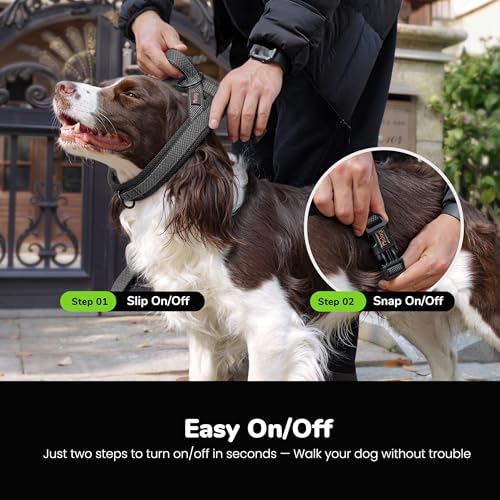 Didog No Pull Dog Harness for Medium Dogs, Breathable Mesh Padded - Image 4