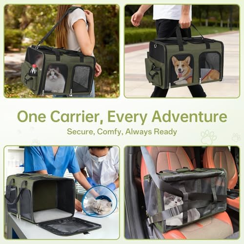 Cat Carrier for 2 Cats Double Pet Carrier Extra Large Green 2026 Upgraded - Image 3
