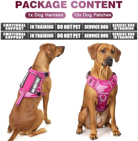 WINSEE Tactical Dog Harness, No Pull Dog Harness - Image 6