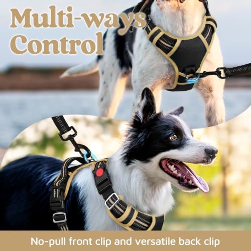 rabbitgoo Dog Harness Medium Sized, No Pull 3 Buckles Easy On & Off - Image 3