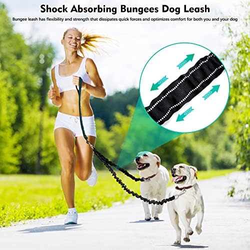2 Dog Leash, 360° Swivel No Tangle Double Dog Walking & Training Leash - Image 2