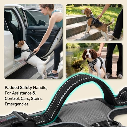 PHOEPET No Pull Dog Harness Reflective Adjustable - Image 4