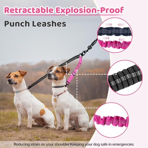 Double Dog Leash - Image 5