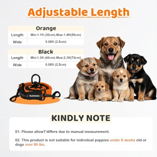Double Dog Leash - Image 2