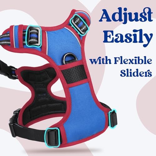 rabbitgoo Dog Harness for Large, Updated Easy On & Off - Image 3