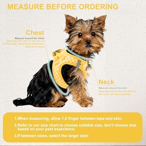 AIITLE Step in Small Dog Harness and Leash Set, Puppy Pet Vest - Image 3
