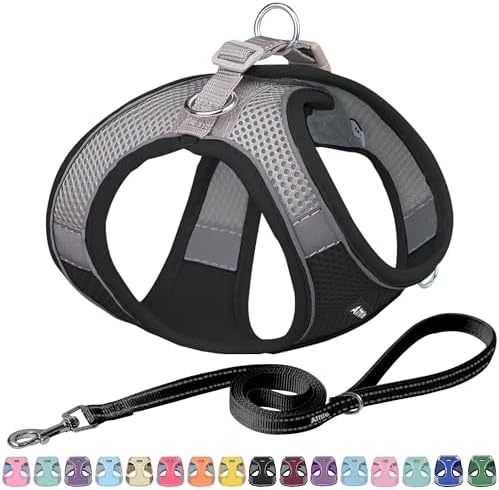 AIITLE Medium Dog Harness and Leash Set, Step-in Puppy Pet Vest by AIITLE-FORPETSBETTERLIFE
