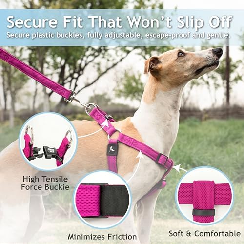 Kruz No Pull Dog Harness Heavy-Duty Pet Harness - Image 2