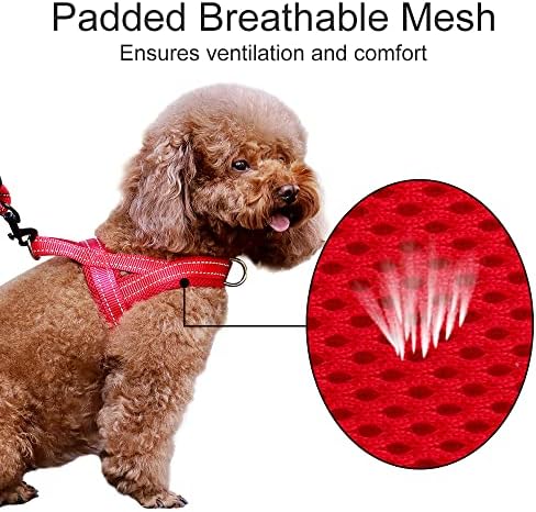 Plutus Pet No Pull Dog Harness for Puppy Small Dogs, Breathable Mesh Padded - Image 3