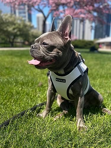 Step in Dog Harness, Lightweight Breathable Mesh Soft Padded Pet Vest, Vegan - Image 5