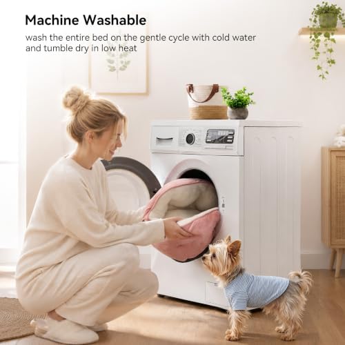 Asvin Small Dog Bed for Small Dogs, Cat Beds for Indoor Cats, Pet Bed for Puppy - Image 5