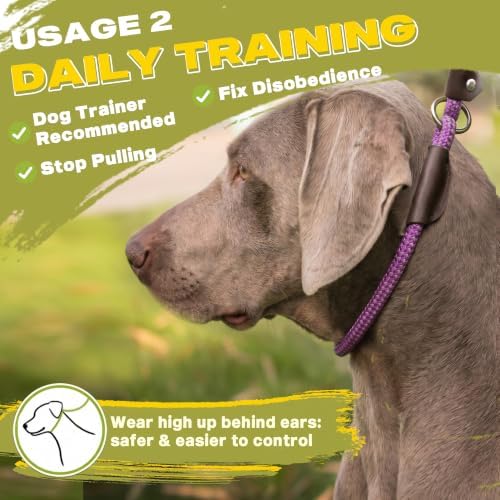 Fida Slip Lead Dog Leash 5 Pack, 6 FT x 1/2" Dog Training Leash - Image 5