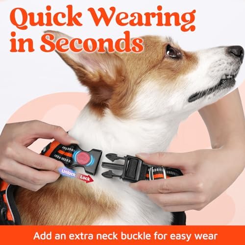 rabbitgoo Dog Harness Small Sized, No Pull 3 Buckles Easy On & Off - Image 2