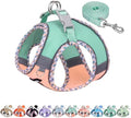 AIITLE Escape-Proof Dog Harnesss and Leash Set, Turquoise-Pink L by AIITLE-FORPETSBETTERLIFE
