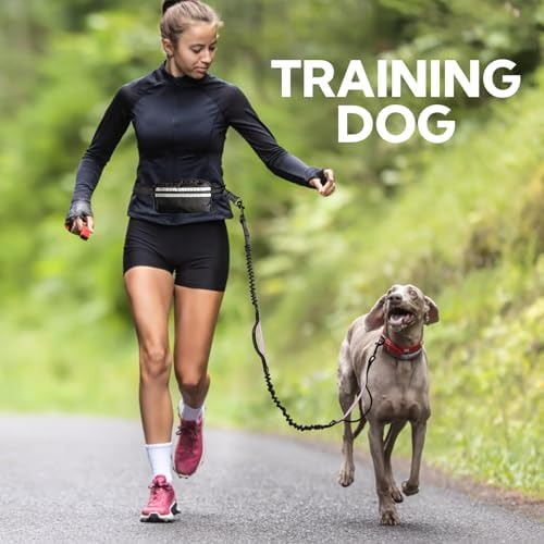 Hands Free Dog Leash for Two Dogs Walking - Image 6