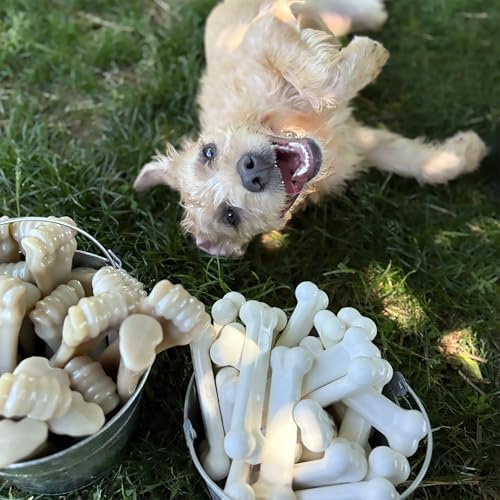 Nylabone Power Chew Original Bone Dog Chew Toy, Chicken Flavor - Image 2