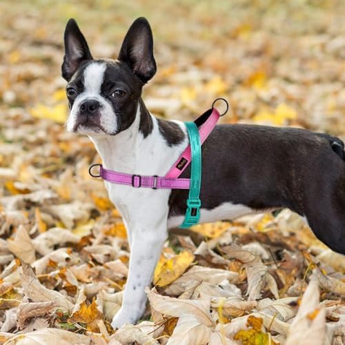 Didog No Pull Dog Harness for Medium Dogs, Soft Padded Handle, Dark Green - Image 5