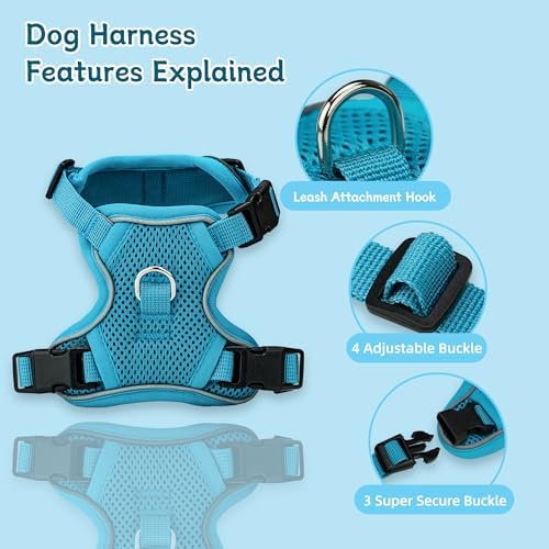 Small Dog Harness and Leash Set, Adjustable Small Sized Pet Vest - Image 2