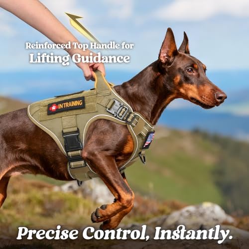 rabbitgoo Tactical Dog Harness for Medium, Heavy Duty Military No Pull Vest - Image 3