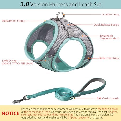 AIITLE Dog Harness and Leash Set, Step-in Puppy Pet Vest, Turquoise XL - Image 4