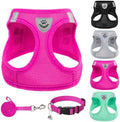 PUPTECK Dog Harness, Collar and Leash Set No Pull by PUPTECK