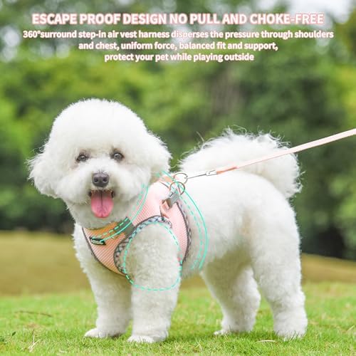 AIITLE Escape-Proof Dog Harnesss and Leash Set, Step in Pet Vest - Image 3