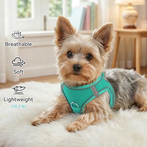 Joytale Step-in Dog Harness, Soft Breathable Mesh, Teal XXXS - Image 4
