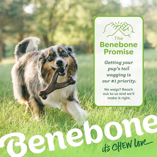 Benebone Wishbone Dog Chew Toy for Aggressive Chewers, Real Chicken - Image 6
