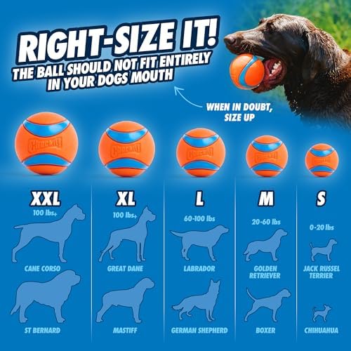 Chuckit! Classic 26M Dog Ball Launcher, Includes Medium 2.5in Ball - Image 5
