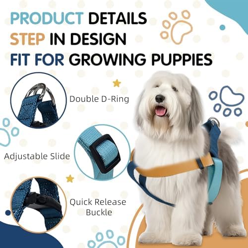 Blue Orange Tri-Color Large Dog Harness, No-Pull Step-in - Image 4