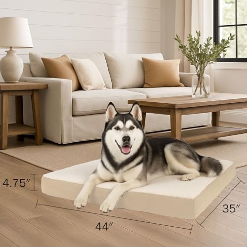 Orthopedic Dog Bed - Image 2