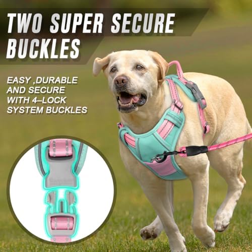 BARKBAY Dog Harness No Pull for Medium Sized Dog Front Back Clips, Dog Vest - Image 4