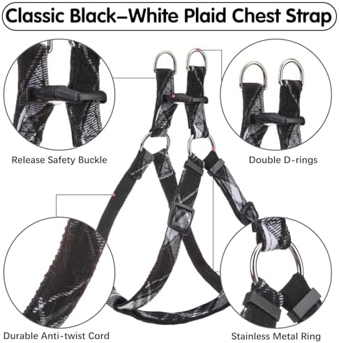 BINGPET No Pull Dog Harness Leash Collar Set, Adjustable Step-in Vest - Image 3