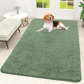 OLANLY Dog Door Mat for Muddy Paws 70x46, Super Absorbent Chenille Mud Mat by OLANLY