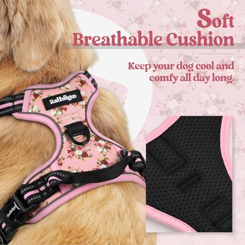 rabbitgoo Dog Harness, No Pull for Large Dogs - Image 2
