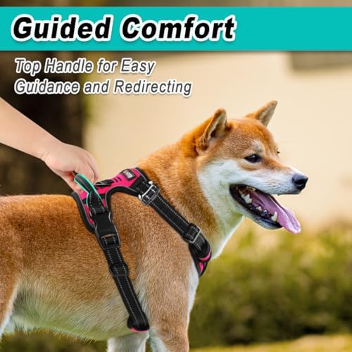 BARKBAY Dog Harness for Small Sized Dog No Pull 2 Clips 3 Buckles Dog Vest - Image 5