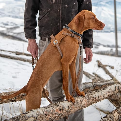 Carhartt Nylon Duck No Pull Dog Harness Gravel M - Image 5