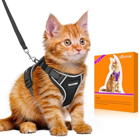 Cat Harness and Leash Set, Escape Proof Kitten Harness by DOMoreWithYourPet