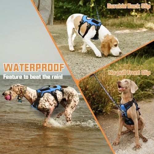 AUROTH Escape Proof No Pull Dog Harness - Image 4
