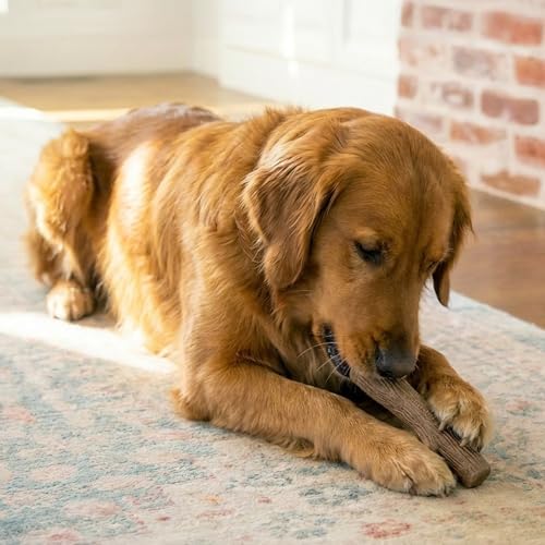 Pupstages Dogwood Stick Dog Chew Toy, Made in USA - Image 5