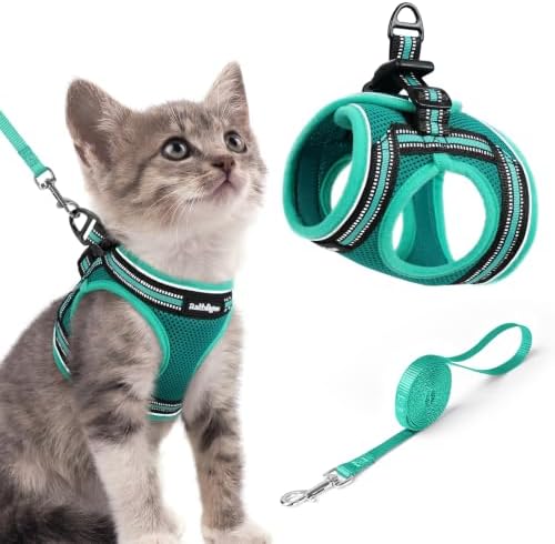 rabbitgoo Cat Harness and Leash Set, Step-in Soft Vest, Turquoise & Green by rabbitgoo
