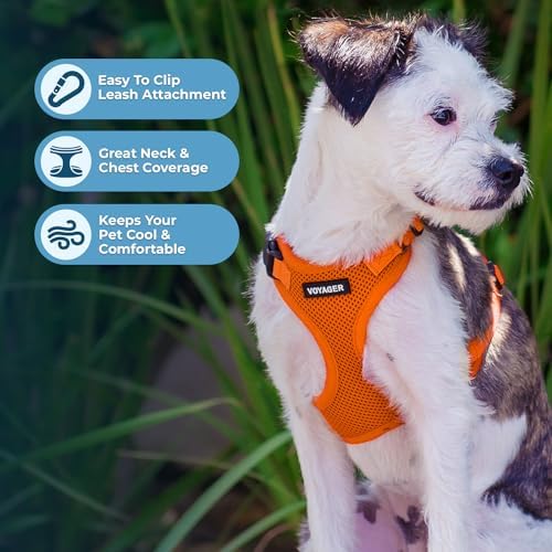 Voyager Step-in Lock Dog Harness - Image 3