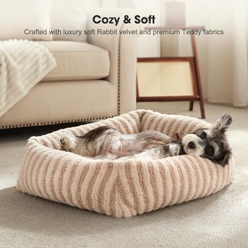 MIXJOY Dog Beds for Small Dogs Cats, Washable Dog Bed - Image 3